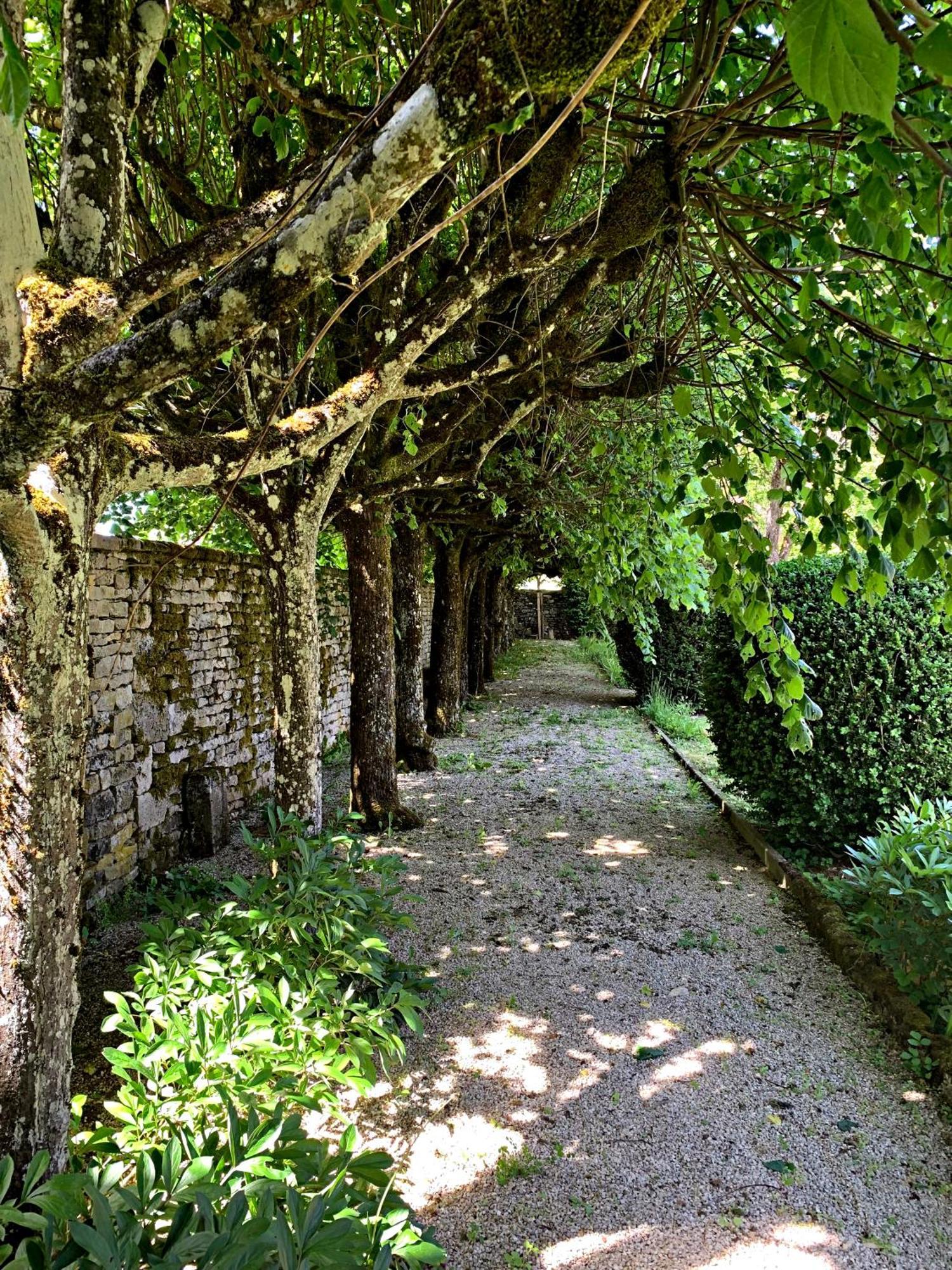 Le Clos Du Marronnier Rivieres-les-Fosses Exteriör bild